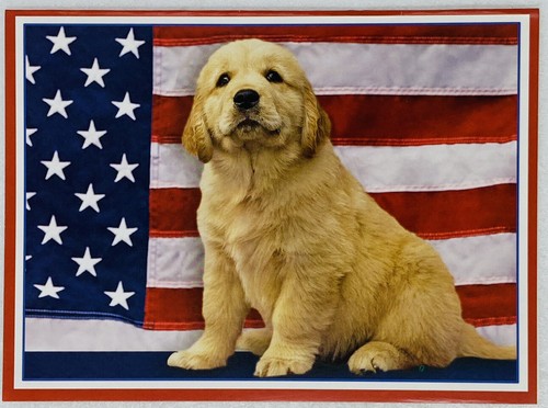 Greeting card golden - greeting,