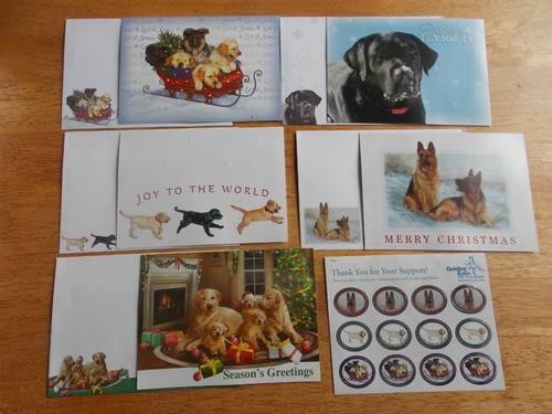 Lot new guiding - 5, for