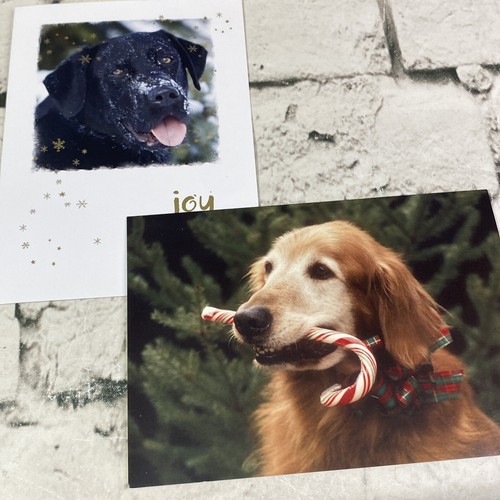 Christmas cards guiding eyes - cards,