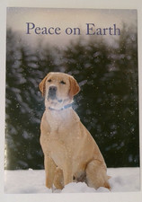 Guiding Eyes for the Blind