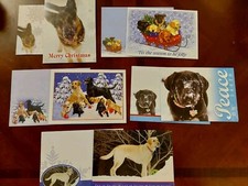 5 Guiding Eyes For The Blind