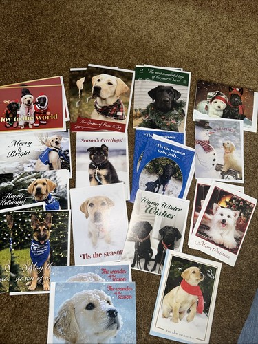 Guiding eyes other - eyes, +