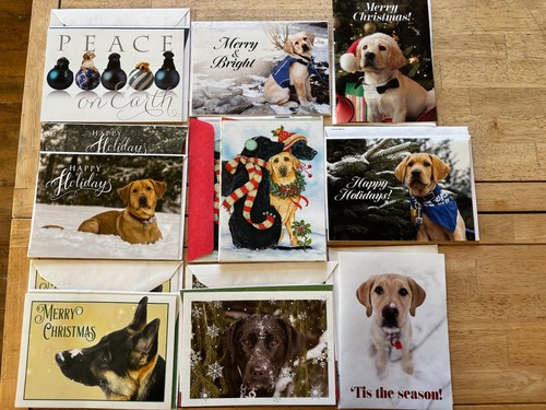 Guiding eyes for the blind - the,