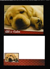 4 Guiding Eyes Blind Christmas