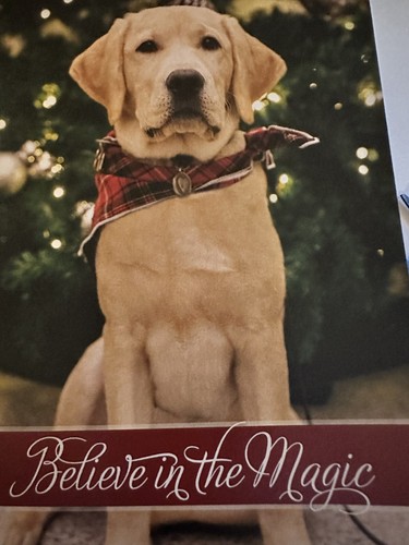 Christmas card six - christmas,