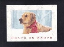 Peace on Earth Dog Lying In